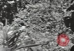 Image of United States soldiers Guadalcanal Solomon Islands, 1944, second 45 stock footage video 65675074676