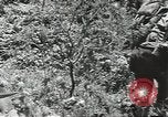 Image of United States soldiers Guadalcanal Solomon Islands, 1944, second 46 stock footage video 65675074676