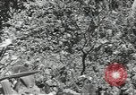 Image of United States soldiers Guadalcanal Solomon Islands, 1944, second 48 stock footage video 65675074676