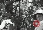 Image of United States soldiers Guadalcanal Solomon Islands, 1944, second 54 stock footage video 65675074676