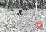 Image of United States soldiers Guadalcanal Solomon Islands, 1944, second 61 stock footage video 65675074676