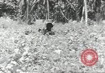 Image of United States soldiers Guadalcanal Solomon Islands, 1944, second 62 stock footage video 65675074676