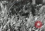 Image of 40th Infantry Division soldiers Guadalcanal Solomon Islands, 1944, second 5 stock footage video 65675074678