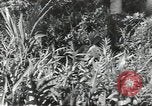 Image of 40th Infantry Division soldiers Guadalcanal Solomon Islands, 1944, second 8 stock footage video 65675074678
