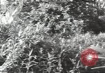 Image of 40th Infantry Division soldiers Guadalcanal Solomon Islands, 1944, second 11 stock footage video 65675074678
