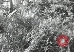 Image of 40th Infantry Division soldiers Guadalcanal Solomon Islands, 1944, second 16 stock footage video 65675074678