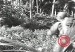 Image of 40th Infantry Division soldiers Guadalcanal Solomon Islands, 1944, second 17 stock footage video 65675074678
