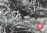 Image of 40th Infantry Division soldiers Guadalcanal Solomon Islands, 1944, second 19 stock footage video 65675074678