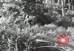 Image of 40th Infantry Division soldiers Guadalcanal Solomon Islands, 1944, second 20 stock footage video 65675074678