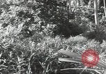 Image of 40th Infantry Division soldiers Guadalcanal Solomon Islands, 1944, second 21 stock footage video 65675074678