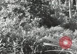 Image of 40th Infantry Division soldiers Guadalcanal Solomon Islands, 1944, second 22 stock footage video 65675074678