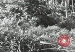 Image of 40th Infantry Division soldiers Guadalcanal Solomon Islands, 1944, second 23 stock footage video 65675074678