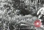 Image of 40th Infantry Division soldiers Guadalcanal Solomon Islands, 1944, second 24 stock footage video 65675074678