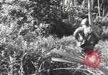 Image of 40th Infantry Division soldiers Guadalcanal Solomon Islands, 1944, second 25 stock footage video 65675074678