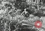 Image of 40th Infantry Division soldiers Guadalcanal Solomon Islands, 1944, second 26 stock footage video 65675074678