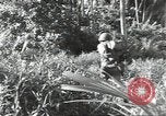 Image of 40th Infantry Division soldiers Guadalcanal Solomon Islands, 1944, second 29 stock footage video 65675074678