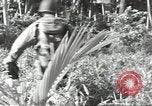 Image of 40th Infantry Division soldiers Guadalcanal Solomon Islands, 1944, second 31 stock footage video 65675074678