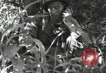 Image of 40th Infantry Division soldiers Guadalcanal Solomon Islands, 1944, second 32 stock footage video 65675074678