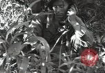Image of 40th Infantry Division soldiers Guadalcanal Solomon Islands, 1944, second 35 stock footage video 65675074678