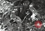 Image of 40th Infantry Division soldiers Guadalcanal Solomon Islands, 1944, second 36 stock footage video 65675074678