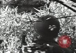 Image of 40th Infantry Division soldiers Guadalcanal Solomon Islands, 1944, second 43 stock footage video 65675074678