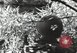 Image of 40th Infantry Division soldiers Guadalcanal Solomon Islands, 1944, second 44 stock footage video 65675074678