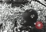 Image of 40th Infantry Division soldiers Guadalcanal Solomon Islands, 1944, second 45 stock footage video 65675074678