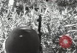 Image of 40th Infantry Division soldiers Guadalcanal Solomon Islands, 1944, second 47 stock footage video 65675074678