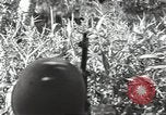Image of 40th Infantry Division soldiers Guadalcanal Solomon Islands, 1944, second 48 stock footage video 65675074678