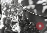 Image of 40th Infantry Division soldiers Guadalcanal Solomon Islands, 1944, second 52 stock footage video 65675074678