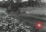 Standbild Armee cook Guadalcanal Salomonen, 1944, aus Sekunde 12 historischem Filmmaterial Videoclip 65675074683