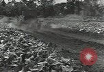 Standbild Armee cook Guadalcanal Salomonen, 1944, aus Sekunde 14 historischem Filmmaterial Videoclip 65675074683