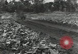 Standbild Armee cook Guadalcanal Salomonen, 1944, aus Sekunde 18 historischem Filmmaterial Videoclip 65675074683