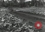 Standbild Armee cook Guadalcanal Salomonen, 1944, aus Sekunde 20 historischem Filmmaterial Videoclip 65675074683