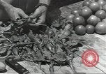 Standbild Armee cook Guadalcanal Salomonen, 1944, aus Sekunde 44 historischem Filmmaterial Videoclip 65675074683