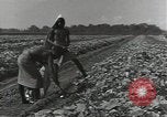 Image of United States soldiers Guadalcanal Solomon Islands, 1944, second 3 stock footage video 65675074684