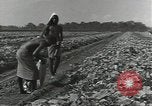 Image of United States soldiers Guadalcanal Solomon Islands, 1944, second 4 stock footage video 65675074684