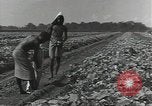 Image of United States soldiers Guadalcanal Solomon Islands, 1944, second 5 stock footage video 65675074684