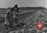 Image of United States soldiers Guadalcanal Solomon Islands, 1944, second 6 stock footage video 65675074684