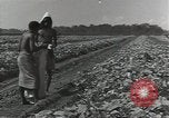 Image of United States soldiers Guadalcanal Solomon Islands, 1944, second 7 stock footage video 65675074684