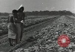 Image of United States soldiers Guadalcanal Solomon Islands, 1944, second 8 stock footage video 65675074684