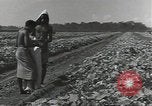 Image of United States soldiers Guadalcanal Solomon Islands, 1944, second 9 stock footage video 65675074684