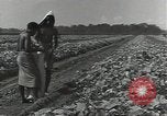 Image of United States soldiers Guadalcanal Solomon Islands, 1944, second 10 stock footage video 65675074684