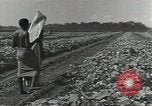 Image of United States soldiers Guadalcanal Solomon Islands, 1944, second 12 stock footage video 65675074684