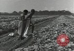 Image of United States soldiers Guadalcanal Solomon Islands, 1944, second 15 stock footage video 65675074684