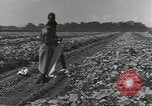 Image of United States soldiers Guadalcanal Solomon Islands, 1944, second 16 stock footage video 65675074684
