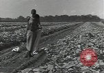 Image of United States soldiers Guadalcanal Solomon Islands, 1944, second 17 stock footage video 65675074684