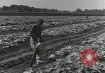 Image of United States soldiers Guadalcanal Solomon Islands, 1944, second 18 stock footage video 65675074684