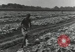 Image of United States soldiers Guadalcanal Solomon Islands, 1944, second 19 stock footage video 65675074684