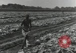 Image of United States soldiers Guadalcanal Solomon Islands, 1944, second 20 stock footage video 65675074684